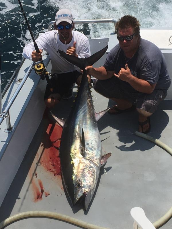 Live Offshore fishing report OCMD 7-3 2 offshore fishing report tuna