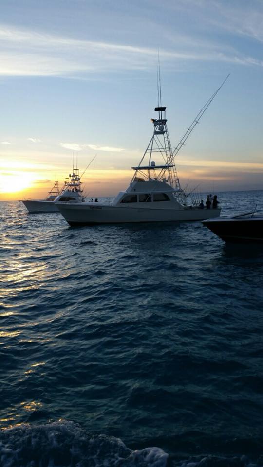 Islamorada December fishing report 16 Islamorada fishing in December 2017